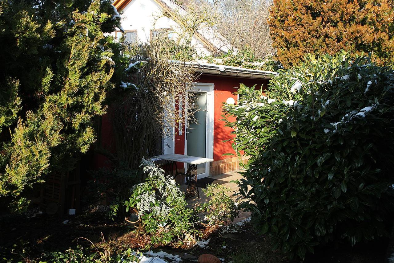 Haus Mit Kunst Zwischen Wald Und See Leipzig Buitenkant foto