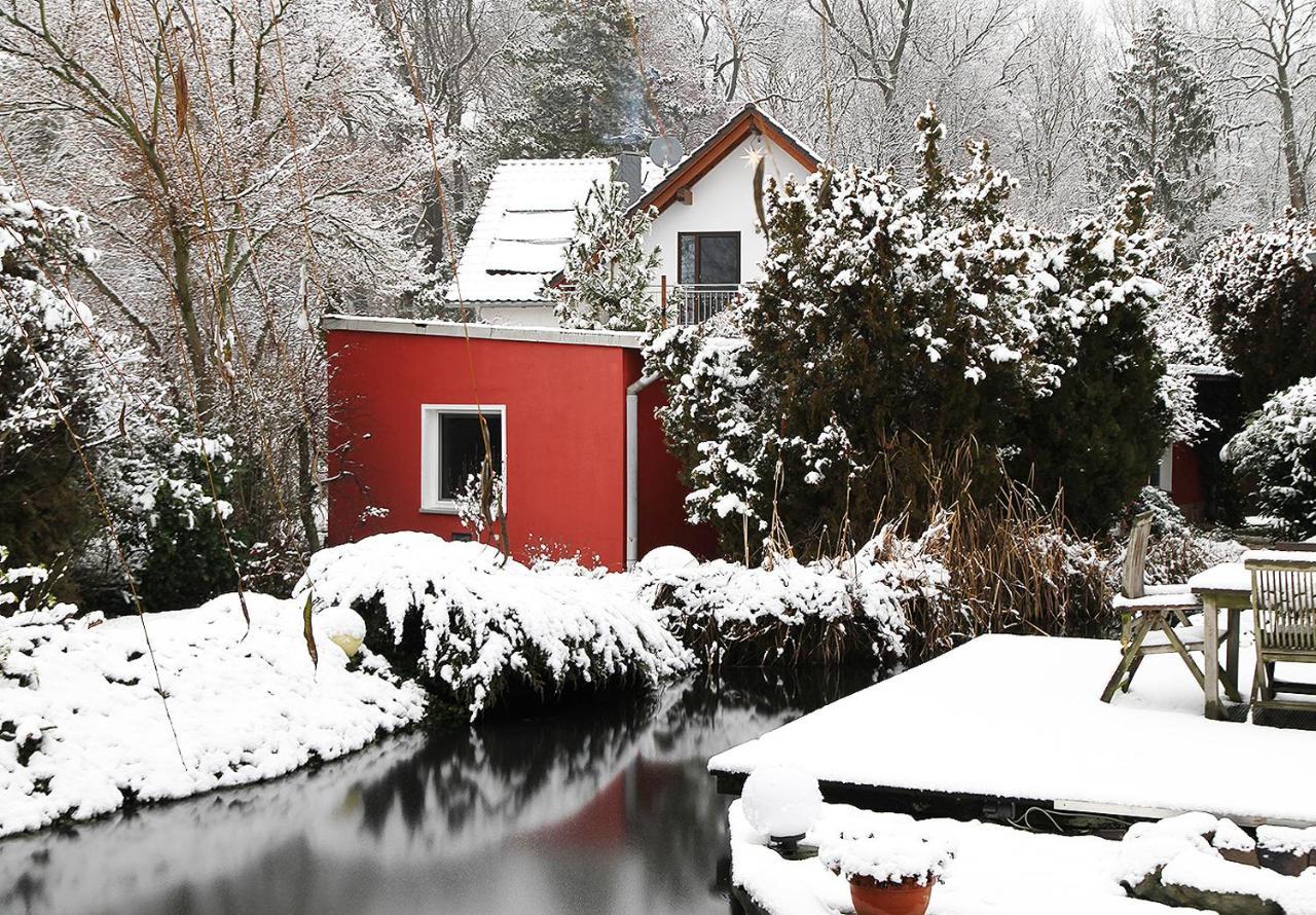 Haus Mit Kunst Zwischen Wald Und See Leipzig Buitenkant foto